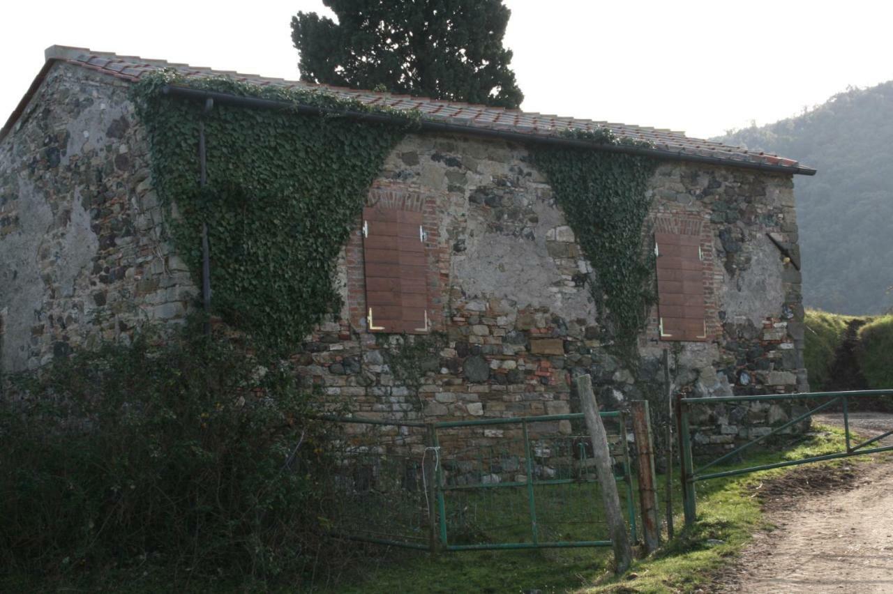 Farmhouse Tuscany Montecastelli Pisano 외부 사진