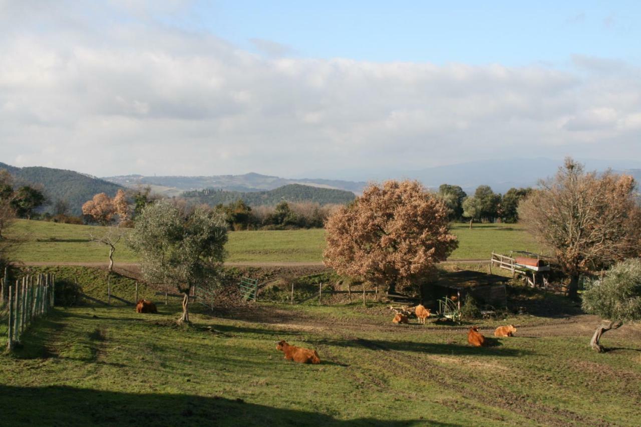 Farmhouse Tuscany Montecastelli Pisano 외부 사진