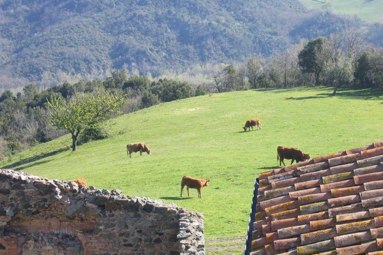 Farmhouse Tuscany Montecastelli Pisano 외부 사진